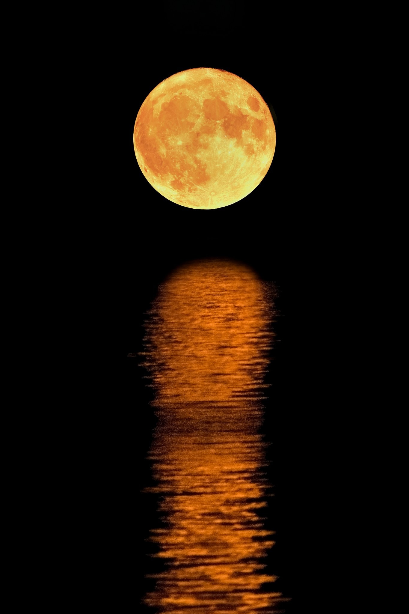 Moonrise