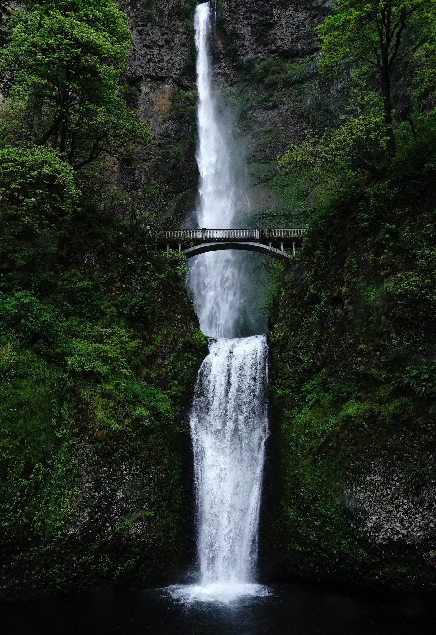 Heart of the Gorge